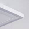 Salamo Plafondlamp LED Wit, 2-lichts