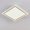 Salamo Plafondlamp LED Wit, 2-lichts