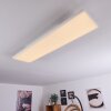Buenaventura Plafondlamp LED Wit, 1-licht, Afstandsbediening