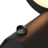 Steinhauer Luzon Buiten muurverlichting LED Zwart, 1-licht