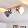 Svanfolk Plafondlamp Blauw, Bruin, Grijs, Wit, 2-lichts