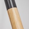 Menocal Staande lamp Hout licht, Zwart, 1-licht