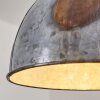 Hora Hanger Zwart, 1-licht