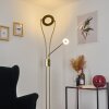 Tierz Staande lamp LED Messing, 2-lichts