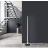 Mantra KITESURF Staande lamp LED Zwart, 1-licht