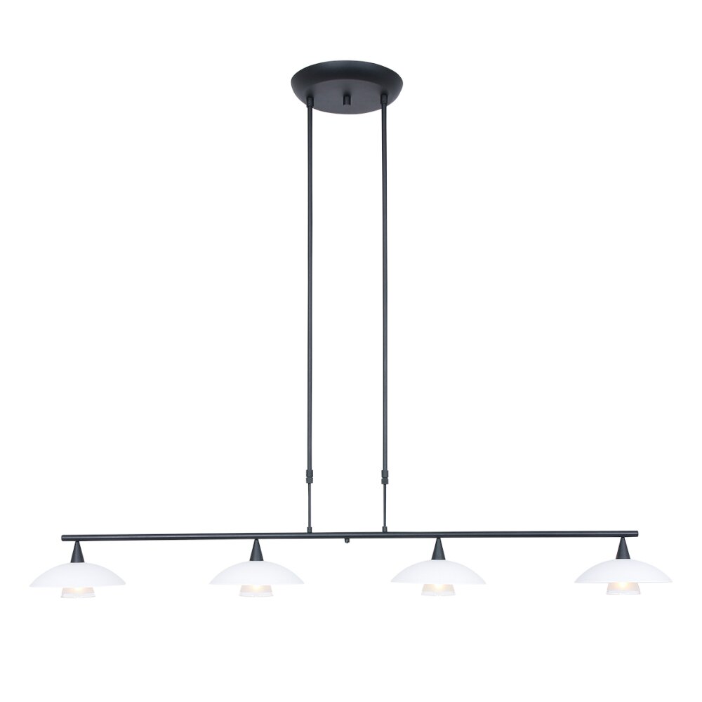 Steinhauer Tallerken Hanglamp LED Nikkel mat, 4-lichts main product photo