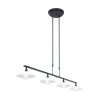 Steinhauer Tallerken Hanglamp LED Nikkel mat, 4-lichts