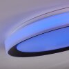 Gladstone Plafondlamp LED Zwart, Wit, 1-licht, Afstandsbediening