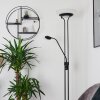 Mairoa Staande lamp LED Zwart, 2-lichts