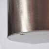 Busalla Buiten muurverlichting LED Nikkel mat, 1-licht
