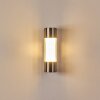Caivano Buiten muurverlichting LED Nikkel mat, 1-licht