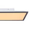 Globo DORO Plafondpaneel LED Wit, 1-licht