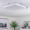 Cetara Plafondlamp LED Grijs, 1-licht