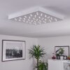 Cetara Plafondlamp LED Grijs, 1-licht