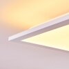 Badia Plafondpaneel LED Wit, 2-lichts