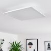 Badia Plafondpaneel LED Wit, 2-lichts