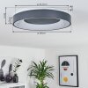 Casina Plafondlamp LED Antraciet, Wit, 1-licht, Afstandsbediening