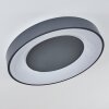 Casina Plafondlamp LED Antraciet, Wit, 1-licht, Afstandsbediening