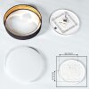 Elsa Plafondlamp LED Wit, 1-licht