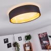 Elsa Plafondlamp LED Wit, 1-licht