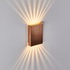 Benin Muurlamp LED Koperkleurig, 2-lichts