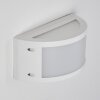 Pompeano Buiten muurverlichting LED Wit, 1-licht