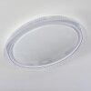 Feletto Plafondlamp LED Transparant, Helder, Wit, 1-licht, Afstandsbediening