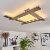 Cuchara Plafondlamp LED Nikkel mat, 1-licht