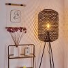 Quinto Staande lamp Zwart, 1-licht