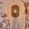 Quinto Staande lamp Zwart, 1-licht