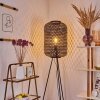 Quinto Staande lamp Zwart, 1-licht