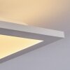 Nexo Plafondpaneel LED Wit, 1-licht