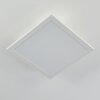 Nexo Plafondpaneel LED Wit, 1-licht