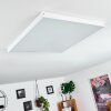 Pedemonte Plafondpaneel LED Wit, 1-licht