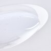 Rosenga Plafondlamp LED Wit, 1-licht, Afstandsbediening