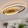 Trapani Plafondlamp LED Goud, Zwart, 1-licht, Afstandsbediening, Kleurwisselaar