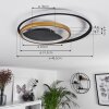 Trapani Plafondlamp LED Goud, Zwart, 1-licht, Afstandsbediening, Kleurwisselaar
