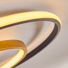 Trapani Plafondlamp LED Goud, Zwart, 1-licht, Afstandsbediening, Kleurwisselaar