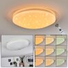 Rosenga Plafondlamp LED Wit, 1-licht, Afstandsbediening