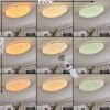 Rosenga Plafondlamp LED Wit, 1-licht, Afstandsbediening