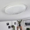Rosenga Plafondlamp LED Wit, 1-licht, Afstandsbediening