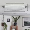Rosenga Plafondlamp LED Wit, 1-licht, Afstandsbediening