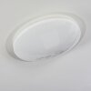 Rosenga Plafondlamp LED Wit, 1-licht, Afstandsbediening