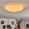 Rosenga Plafondlamp LED Wit, 1-licht, Afstandsbediening