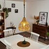 Sulzano Hanger Bruin, Zwart, 1-licht