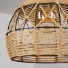 Sulzano Hanger Bruin, Zwart, 1-licht