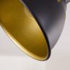 Tina Plafondlamp Hout donker, Zwart, 1-licht
