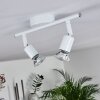 Planes Plafondlamp LED Wit, 2-lichts