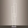 Paul Neuhaus Q-INIGO Staande lamp LED Staal geborsteld, 3-lichts, Afstandsbediening