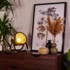 Oghu Tafellamp Zwart, 1-licht